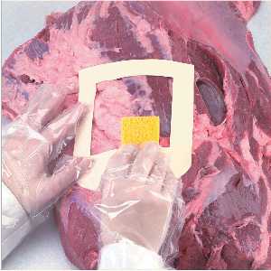 Kits pour échantillonnage de viande avec éponge